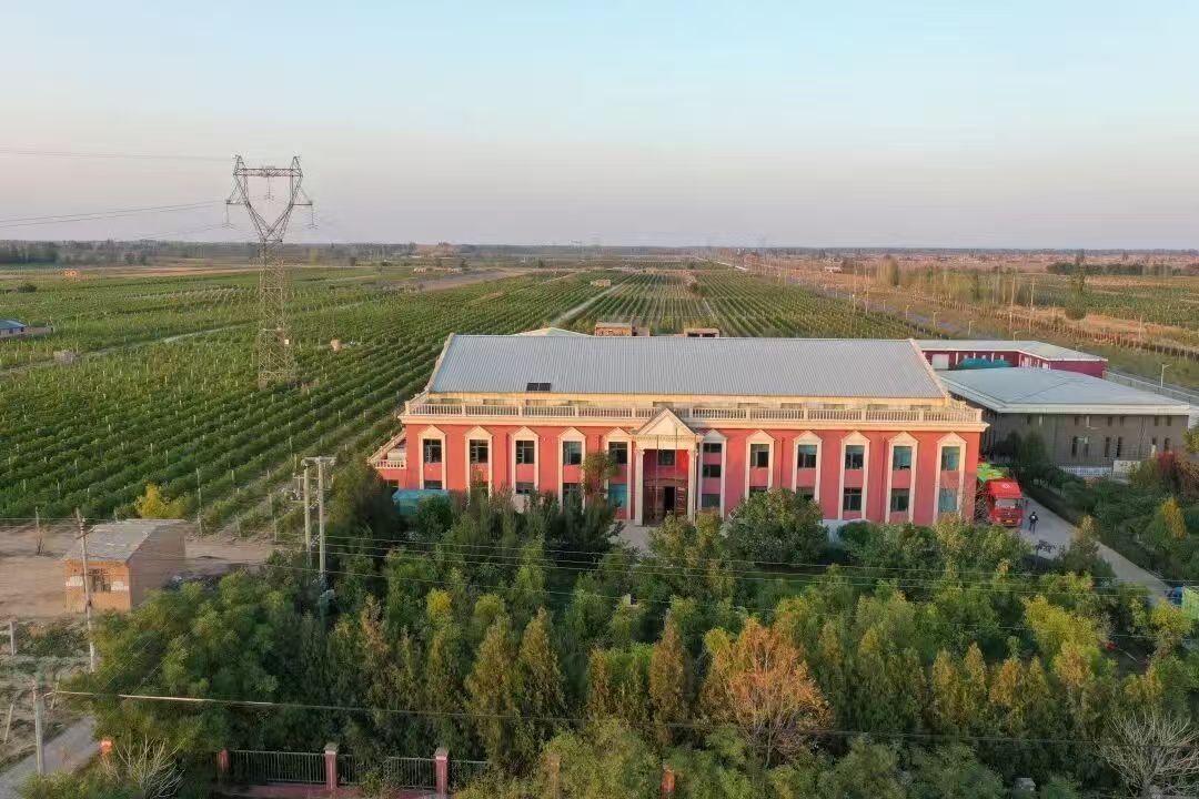01.jpg